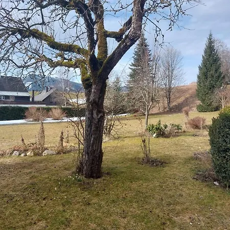 Salzafeld 아파트 *